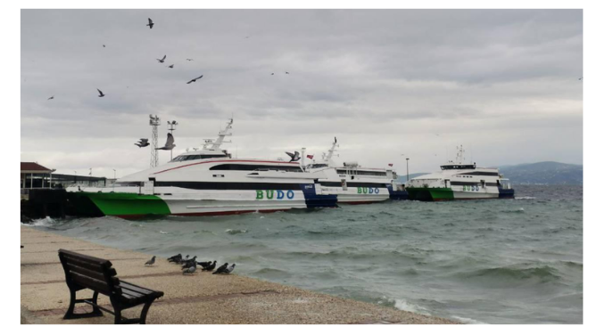 En yüksek temettü verimi beklenen şirketler