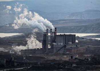 Çayırhan Termik Santrali’ne 5 şirket talip oldu