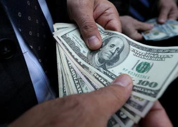 Dolar değer kaybetti, yatırımcı hangi paralara yöneldi?