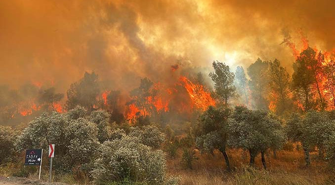 Muğla’da ormanlara giriş 1 Mayıs’tan itibaren yasak