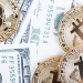 Tahvil piyasası konuşuyor, Bitcoin dinliyor