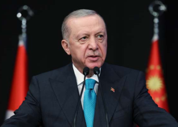 Cumhurbaşkanı Erdoğan, Avusturya Başbakanı ile telefonda görüştü