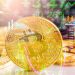Hükümet ve Merkez Bankası arasında kripto krizi