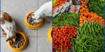 Kasımda fiyatı en çok artan ve azalan ürünler belli oldu