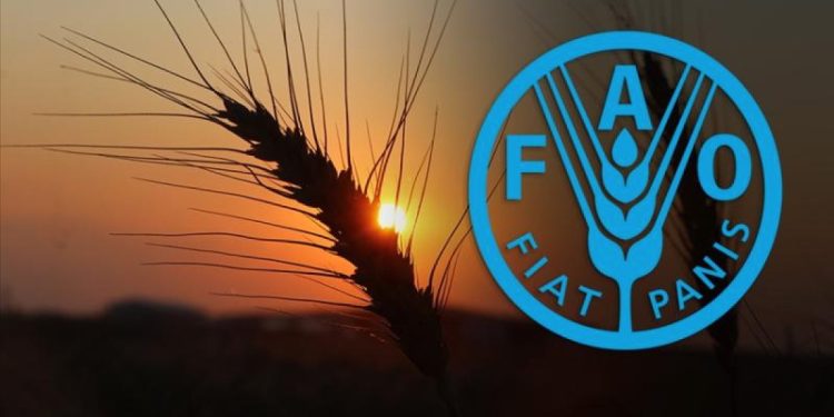 Küresel gıda fiyatlarında düşüş hız kesmedi!