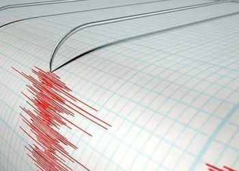 Tayvan 7’lik deprem ile sallandı