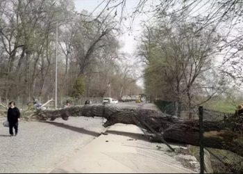 Meteoroloji uyardı: 90 km’yi bulacak fırtına