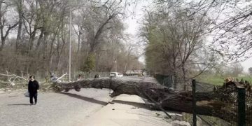 Meteoroloji uyardı: 90 km’yi bulacak fırtına