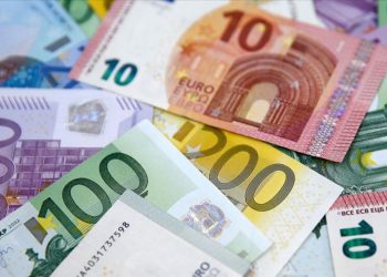 Euro için kritik gün