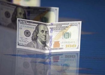 Dolar/TL’de tüm zamanların rekoru