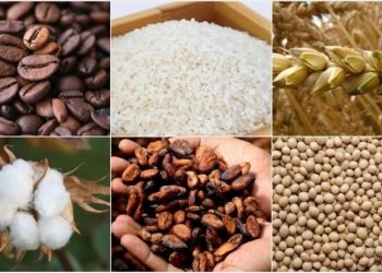 Emtia piyasası için yeni risk kapıda: El Nino
