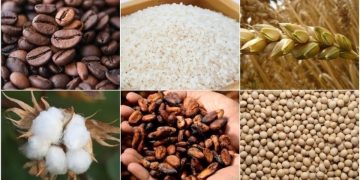 Emtia piyasası için yeni risk kapıda: El Nino