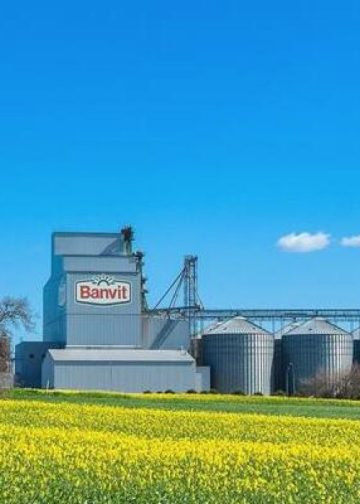 Banvit’in kayyım kararı kaldırıldı