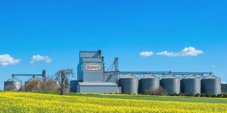 Banvit’in kayyım kararı kaldırıldı