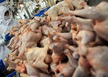 Beyaz et sektöründe tüm kayyımlar kaldırıldı