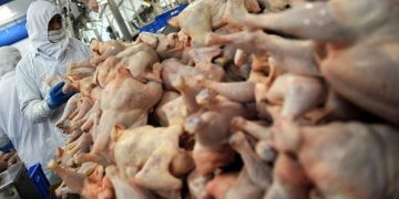 Beyaz et sektöründe tüm kayyımlar kaldırıldı