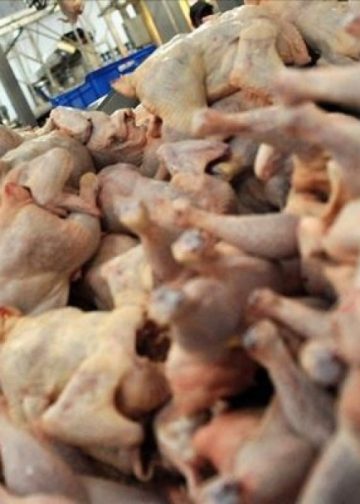 Beyaz et sektöründe tüm kayyımlar kaldırıldı
