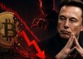 Bitcoin’deki sert düşüşün nedeni Elon Musk mı?