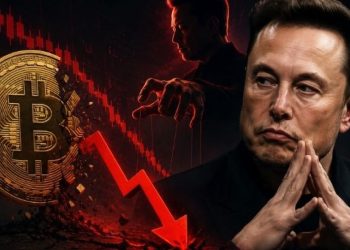 Bitcoin’deki sert düşüşün nedeni Elon Musk mı?