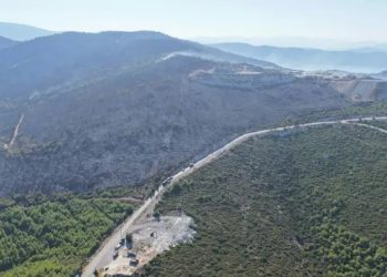 Milas’taki orman yangını rüzgarın etkisiyle yayıldı: 1120 kişi tahliye edildi