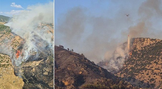 Pamukkale Örenyeri yakınında orman yangını