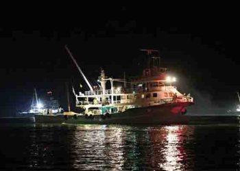 Karadeniz, Marmara ve Ege’de balık avı yasağı sona eriyor