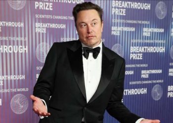 Musk, Cumhuriyetçilerin ara seçimlerde en büyük destekçisi oldu